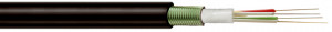 HITRONIC® HVW3000 12x12E 9/125 OS2