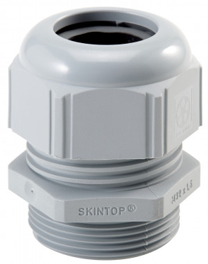 SKINTOP® STR ISO M 25x1,5 RAL 7001 SGY