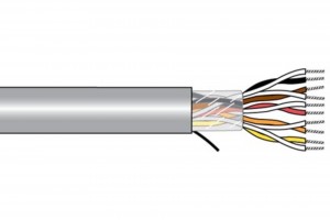 M13109